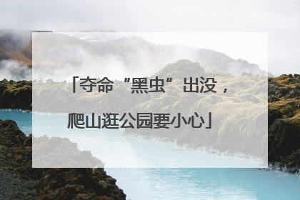 夺命“黑虫”出没，爬山逛公园要小心