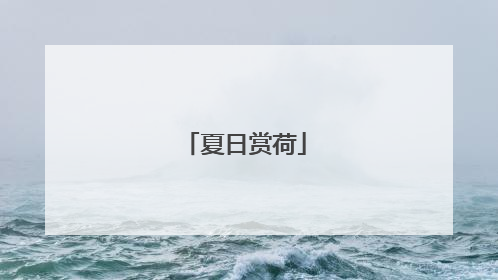 夏日赏荷