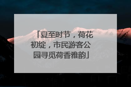 夏至时节，荷花初绽，市民游客公园寻觅荷香雅韵