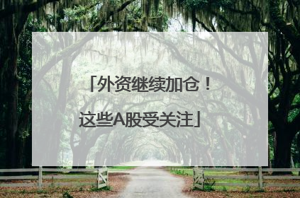 外资继续加仓！这些A股受关注