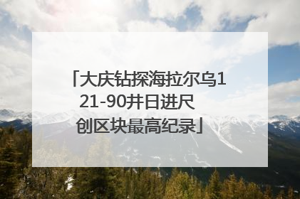 大庆钻探海拉尔乌121-90井日进尺 创区块最高纪录