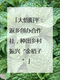 大悟阳平：返乡创办合作社，种出乡村振兴“金稻子”