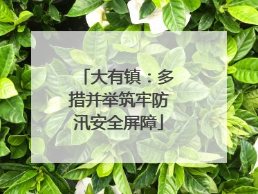大有镇：多措并举筑牢防汛安全屏障