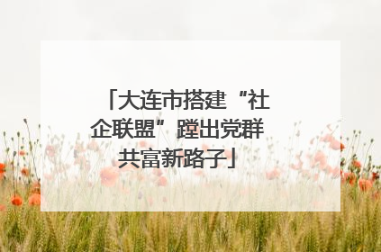 大连市搭建“社企联盟”蹚出党群共富新路子
