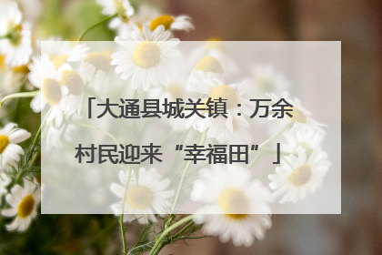 大通县城关镇：万余村民迎来“幸福田”