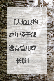 大通县构建年轻干部选育管用成长链