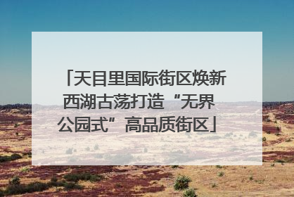 天目里国际街区焕新 西湖古荡打造“无界公园式”高品质街区