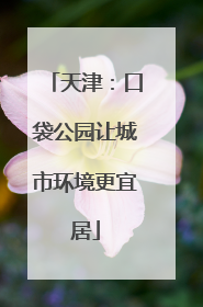 天津：口袋公园让城市环境更宜居