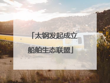 太钢发起成立船舶生态联盟