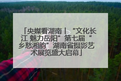 央媒看湖南丨“文化长江 魅力岳阳”第七届“乡愁湘韵”湖南省摄影艺术展览盛大启幕