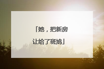 她，把新房让给了斑鸠