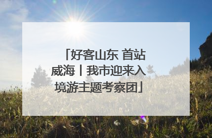 好客山东 首站威海丨我市迎来入境游主题考察团