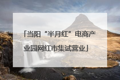 当阳“半月红”电商产业园网红市集试营业
