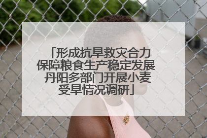 形成抗旱救灾合力 保障粮食生产稳定发展 丹阳多部门开展小麦受旱情况调研
