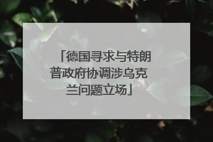 德国寻求与特朗普政府协调涉乌克兰问题立场