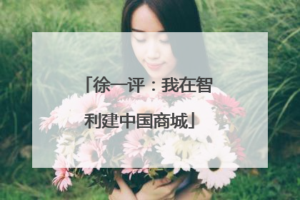 徐一评：我在智利建中国商城