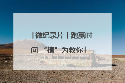 微纪录片丨跑赢时间 “植”为救你