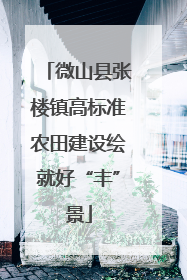 微山县张楼镇高标准农田建设绘就好“丰”景