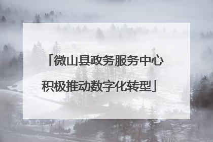 微山县政务服务中心积极推动数字化转型