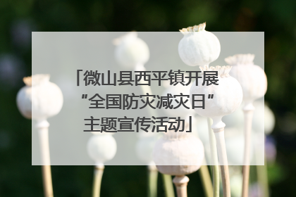 微山县西平镇开展“全国防灾减灾日”主题宣传活动