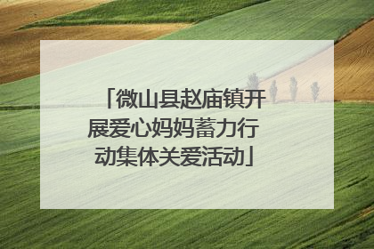 微山县赵庙镇开展爱心妈妈蓄力行动集体关爱活动