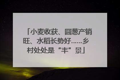 小麦收获、圆葱产销旺、水稻长势好……乡村处处是“丰”景