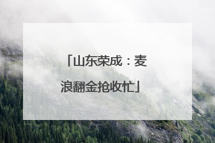 山东荣成：麦浪翻金抢收忙