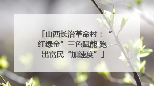 山西长治革命村：“红绿金”三色赋能 跑出富民“加速度”