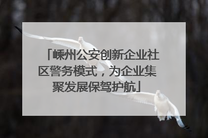嵊州公安创新企业社区警务模式，为企业集聚发展保驾护航