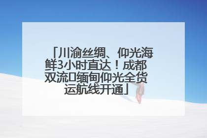 川渝丝绸、仰光海鲜3小时直达！成都双流⇌缅甸仰光全货运航线开通