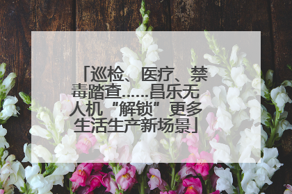 巡检、医疗、禁毒踏查……昌乐无人机“解锁”更多生活生产新场景