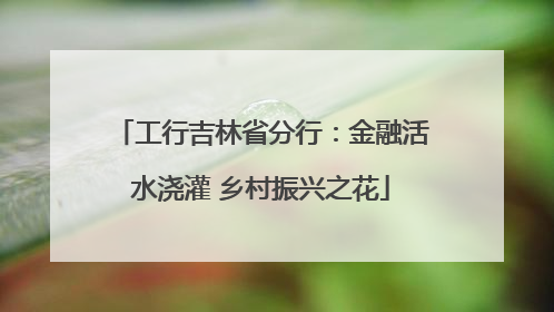 工行吉林省分行：金融活水浇灌 乡村振兴之花