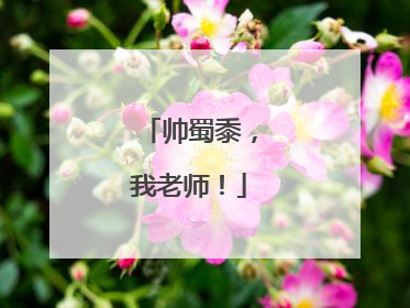 帅蜀黍，我老师！
