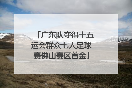 广东队夺得十五运会群众七人足球赛佛山赛区首金