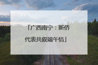 广西南宁：新侨代表共叙端午情