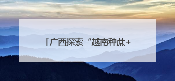 广西探索“越南种蔗+广西制糖”合作新模式