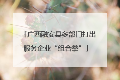 广西融安县多部门打出服务企业“组合拳”