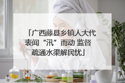 广西藤县乡镇人大代表闻“汛”而动 监督疏通水渠解民忧