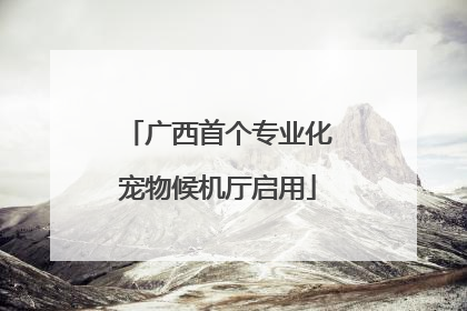 广西首个专业化宠物候机厅启用