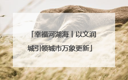 幸福河湖海丨以文润城引领城市万象更新