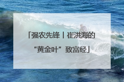 强农先锋丨崔洪海的“黄金叶”致富经