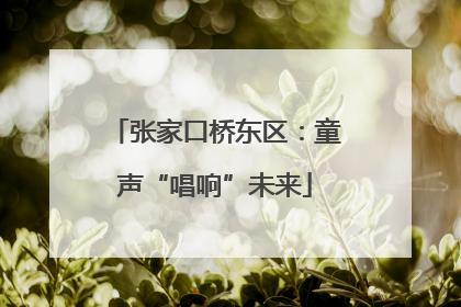 张家口桥东区：童声“唱响”未来