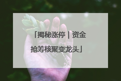 揭秘涨停｜资金抢筹核聚变龙头