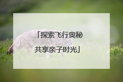 探索飞行奥秘 共享亲子时光