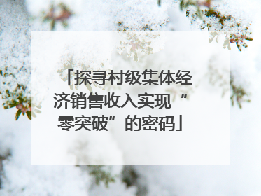探寻村级集体经济销售收入实现“零突破”的密码