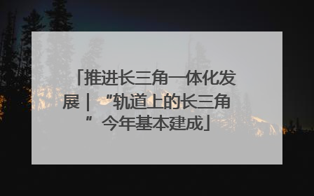 推进长三角一体化发展｜“轨道上的长三角”今年基本建成