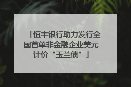 恒丰银行助力发行全国首单非金融企业美元计价“玉兰债”