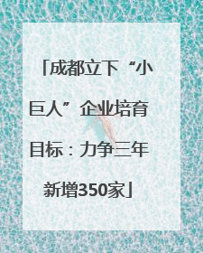 成都立下“小巨人”企业培育目标：力争三年新增350家