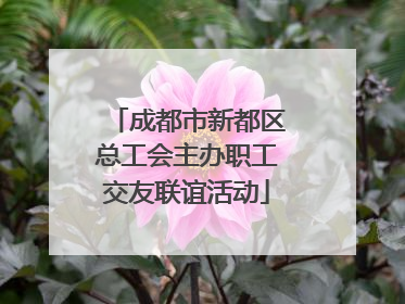 成都市新都区总工会主办职工交友联谊活动