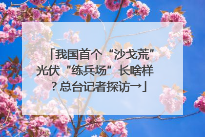 我国首个“沙戈荒”光伏“练兵场”长啥样？总台记者探访→